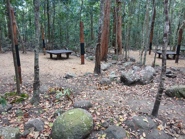 Photo of Mulligan Falls Thorsborne Trail camping area - 2025.