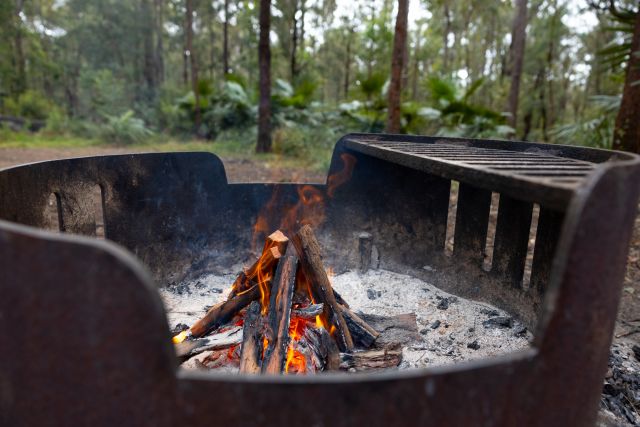 Camp fires are only allowed in the fire rings provided.