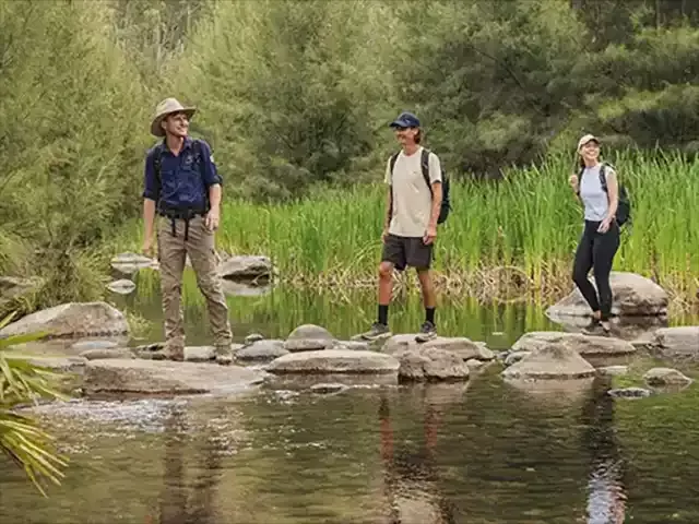 Hikers and a guide crossing stream