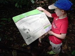 Image of a child learning about the Ngadjon-Jii culture from a trail sign.