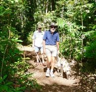 The tracks are designed for walkers who with vision impairment