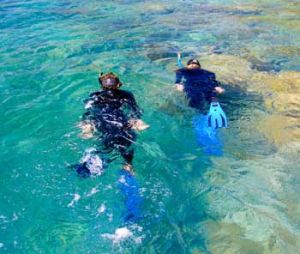 Snorkelling and diving is best one hour before or after high or low tide (slack water). 