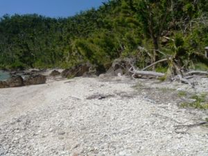 Brammo Bay beach, post Cyclone-Yasi. 