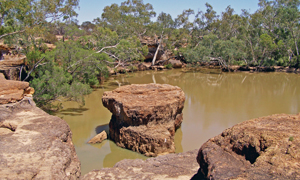 Hell Hole Waterhole is the park's main feature.