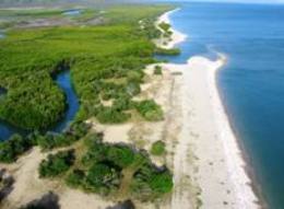 The southern end of Crocodile camping area is extremely close to an estuarine river system.