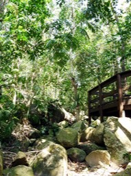 Image of the viewing platform overlooks a seasonal creek on the Secret Garden track.