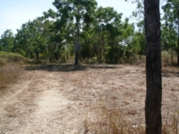 Camp site 1 at Bottom Whiphandle Waterhole camping area