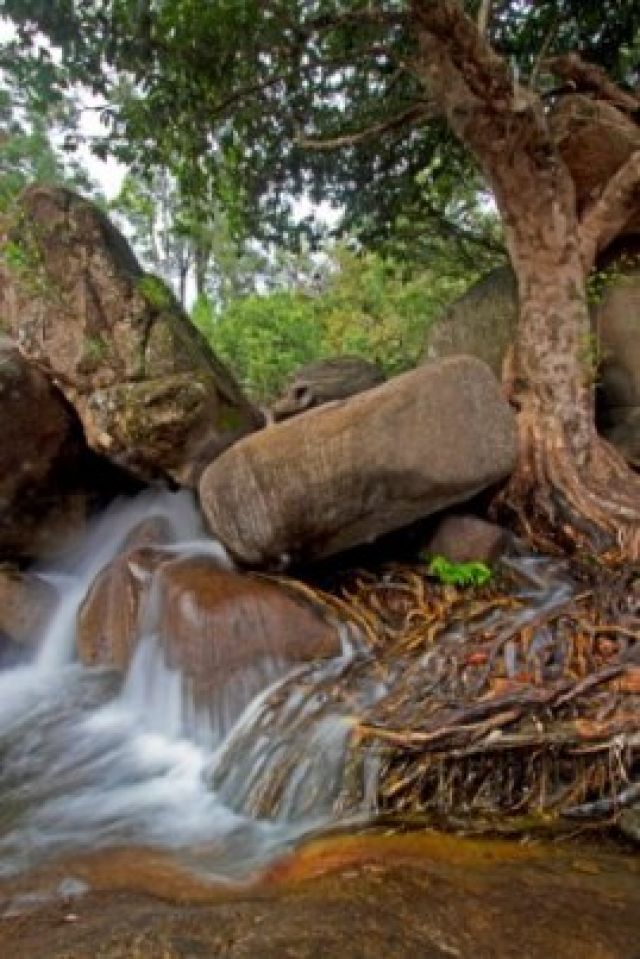 Waterview Creek