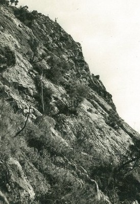 Mount Barney circa 1957. 