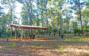The Cabbage Tree camping zone has water provided via an underground tank.