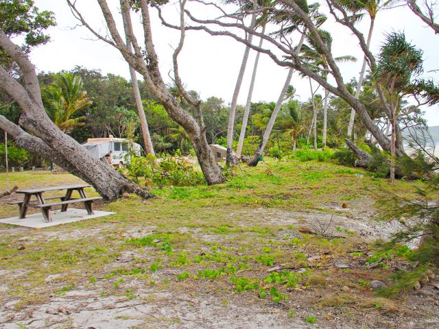 Spend the night by the sea in a beach side camp site at Chilli Beach camping area.