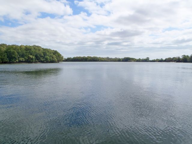 The camping area is at the junction of Brown Creek and the Bizant River.