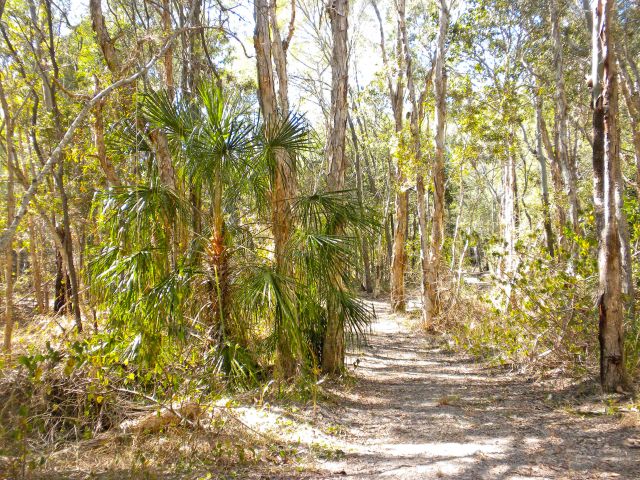 A morning walk along the Melaleuca track will reward you with birds and butterflies, especially near the tidal areas.