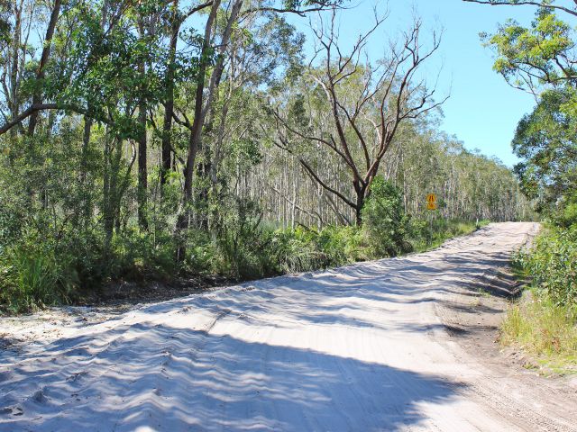 Head through the forest on this sandy track.