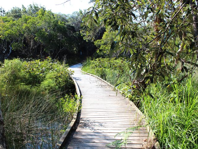 Hike over Dibing Swamp before heading off to Lake Boomanjin.