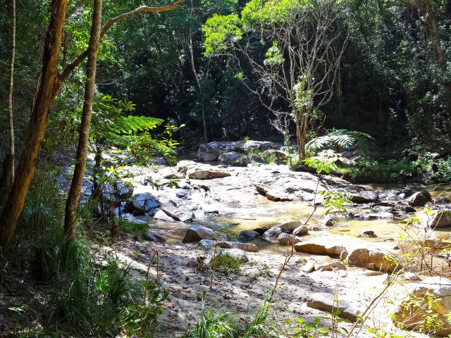 Enjoy a dip in the picturesque Kauri Creek along the Jungaljungal walk.