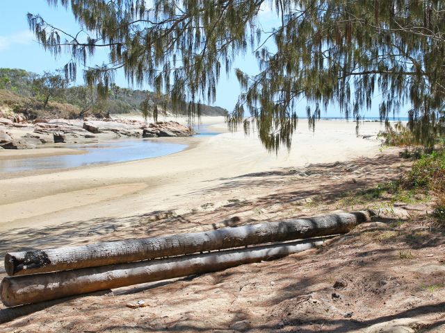 Rodds Peninsula camping area is a remote beach camp by Pancake Creek.