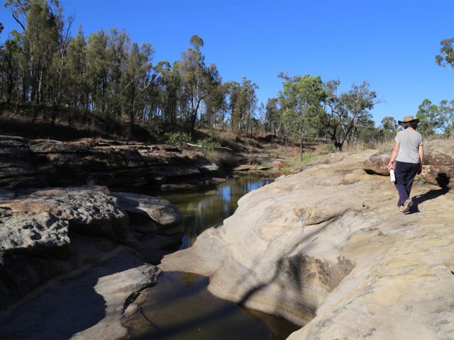 Stroll along Marlong Creek at Dargonelly Rock Hole camping area.