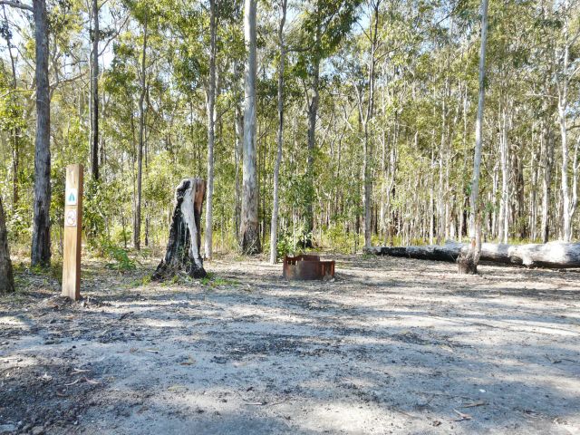 Cook your catch over a camp fire.