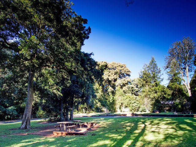 Dandabah picnic area is a popular site that has toilets, picnic tables and free electric barbecues.