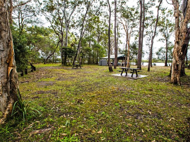 There's an open, grassy area with plenty of shade.