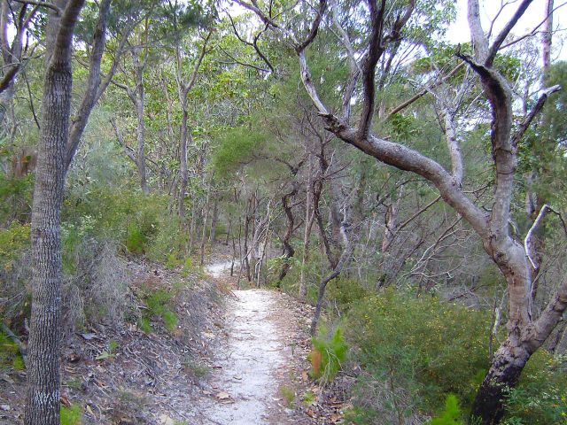 A section of The Desert track.