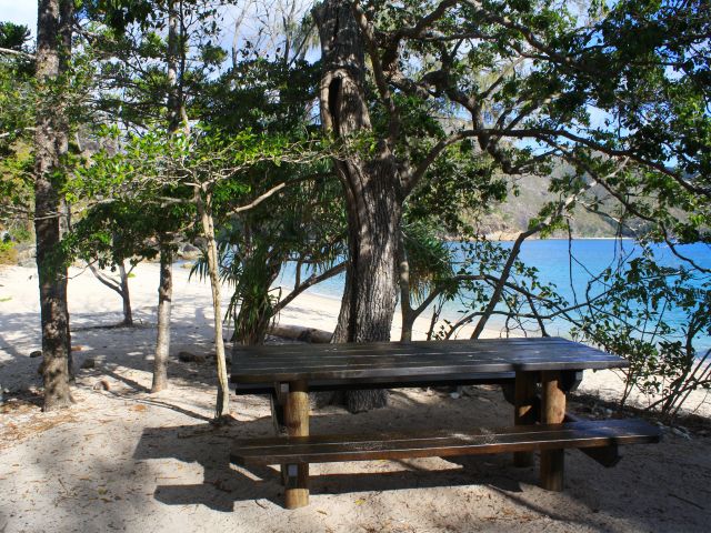 Take time out in the shade and enjoy the view from Crayfish Beach camping area.