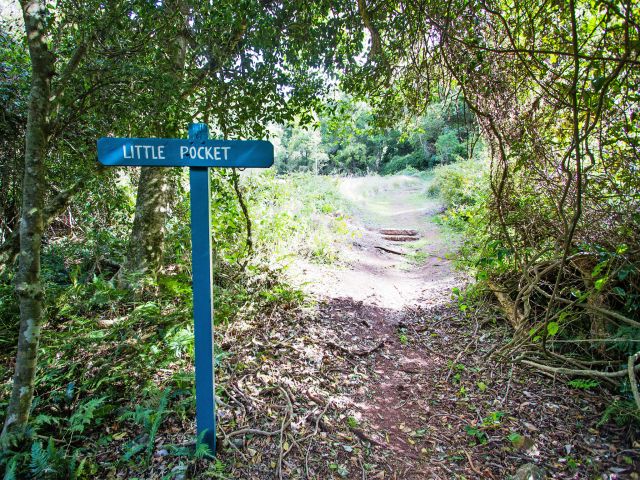 Pass through Little Pocket, one of the smallest 'balds' scattered across the mountains.