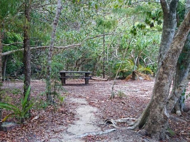 Picnic under the trees at Joe's Beach camping area.