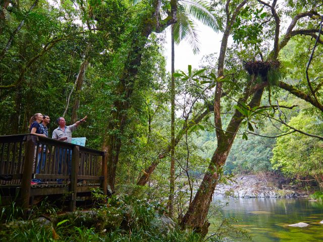Several small lookouts on the Lower River track have views of the Mossman River.