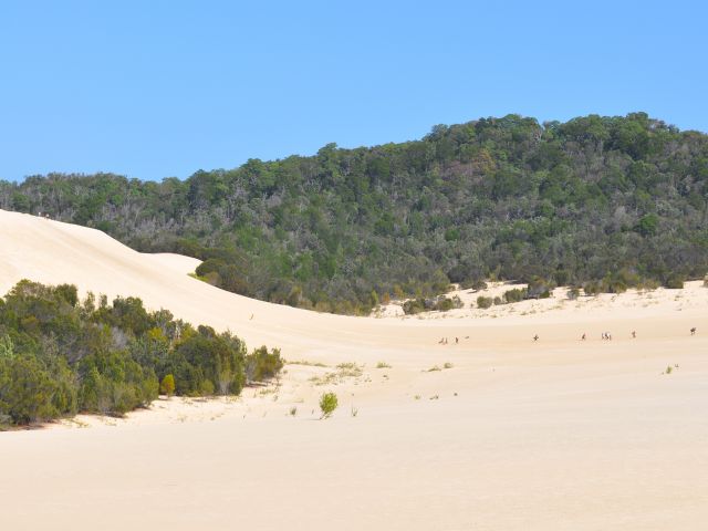 Big Sandhills, on the Southern Island discovery drive, is a great spot for sand tobogganing.