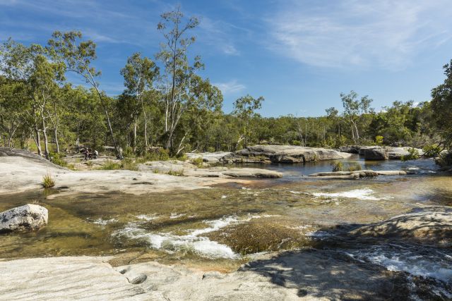Photo of Lower Davies Creek camping area