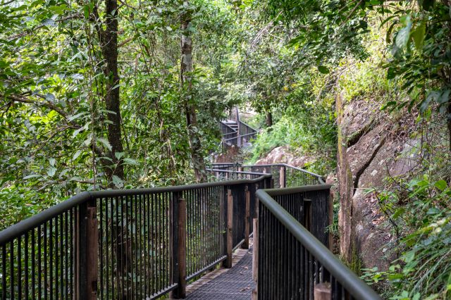 Only the first 75m of River boardwalk is wheelchair accessible (with assistance).