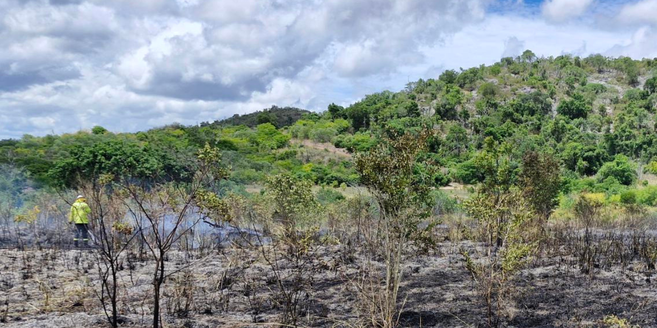 A Ranger mops up a burnt area by extinguishing the last of flames on the burn line 