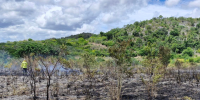 A Ranger mops up a burnt area by extinguishing the last of flames on the burn line 