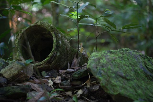 Photo of historic remains which can be seen along the Garndal Garndal weir track