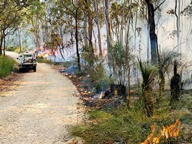 Ranger vehicle park on road beside burning forest