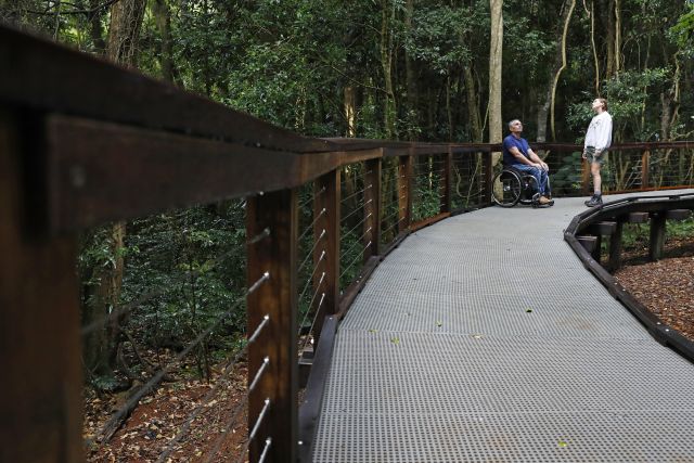 Photo of people pausing on the raised pathway of the Bunya Bunya loop