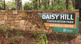 Daisy Hill Conservation Park is only 25km south-east of Brisbane City.