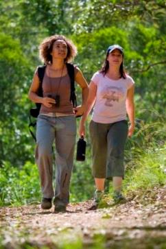 Two people walking along a track in D'Aguilar National Park, taking in the surrounds.