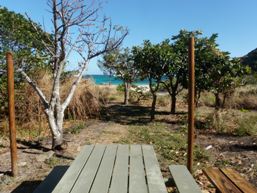 Image of the Camping area at Watsons Bay.