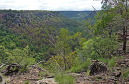 The view from the camping area at Beilba section, Expedition National Park.