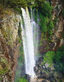 Image of the spectacular Queen Mary Falls.