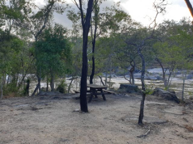 Picnic table at Lower Davies Creek camping area.