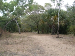 Photo of Camp site 2 at Melaleuca Waterhole camping area