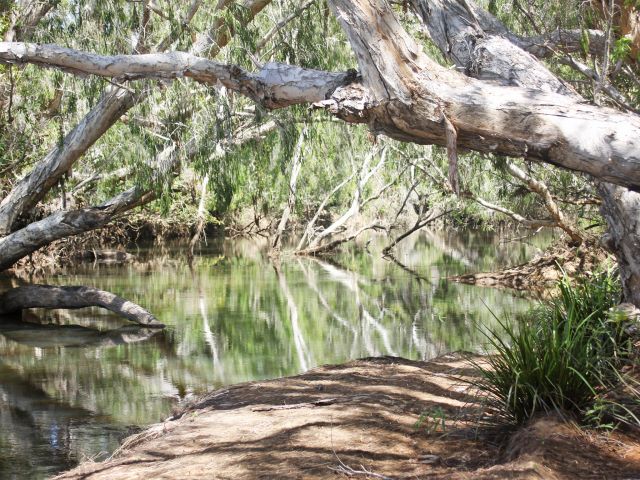 Top Whiphandle Waterhole, on the Normanby River, is a shady place to spend time.