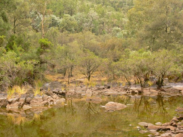 Reedy Waterhole camping area is beside one of the deeper waterholes in the Severn River.