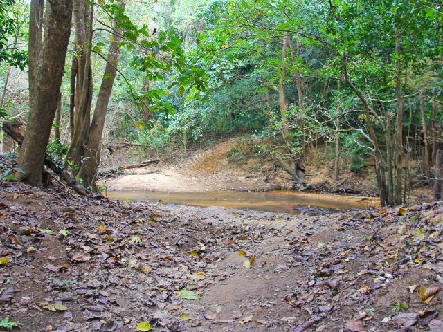 Arrange to be collected at the end of the track, just after the west Claudie River crossing.
