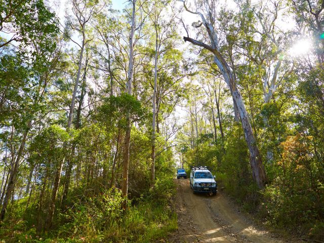 A 4WD adventure on the road network is a great way to experience the wonders of this park.