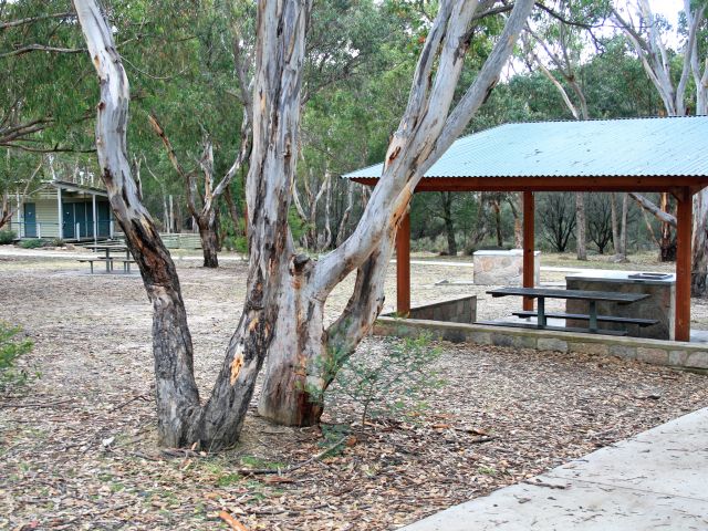 Enjoy a picnic or bbq at Bald Rock Creek day-use area then head off to explore the park's many tracks and trails.